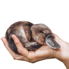 На главную